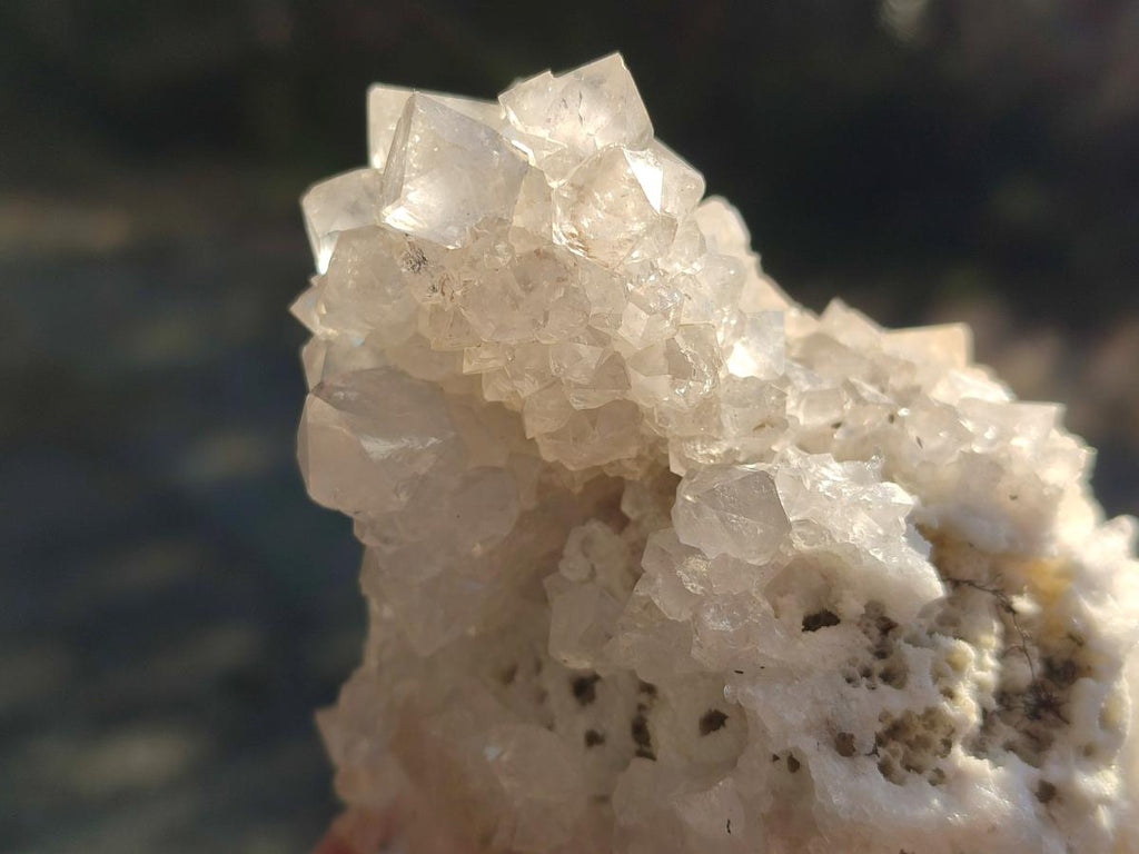 Natural Drusy Snow Finger Crystal Clusters x 6 From Albert's Mountain, Lesotho - Toprock Gemstones and Minerals 