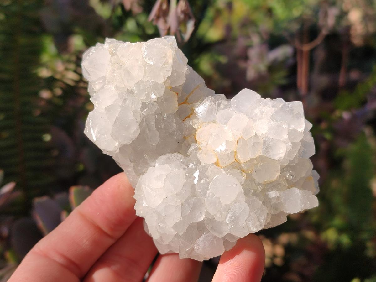Natural Drusy Snow Finger Crystal Clusters x 6 From Albert's Mountain, Lesotho - Toprock Gemstones and Minerals 