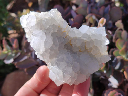 Natural Drusy Snow Finger Crystal Clusters x 6 From Albert's Mountain, Lesotho - Toprock Gemstones and Minerals 
