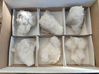 Natural Drusy Snow Finger Crystal Clusters x 6 From Albert's Mountain, Lesotho - Toprock Gemstones and Minerals 