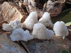Natural Drusy Snow Finger Crystal Clusters x 6 From Albert's Mountain, Lesotho - Toprock Gemstones and Minerals 