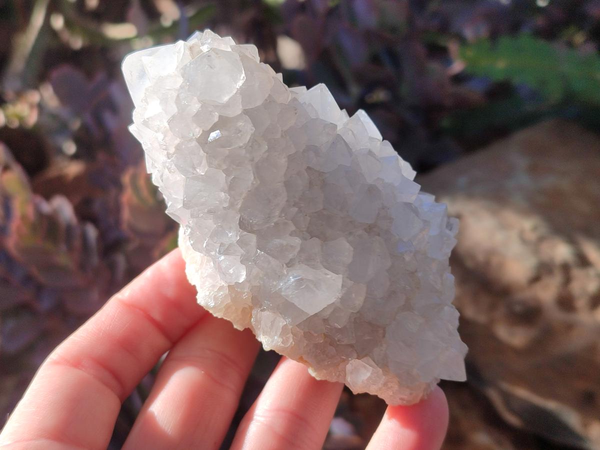 Natural Drusy Snow Finger Crystal Clusters x 6 From Albert's Mountain, Lesotho - Toprock Gemstones and Minerals 