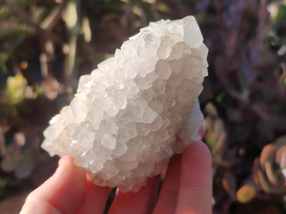 Natural Drusy Snow Finger Crystal Clusters x 6 From Albert's Mountain, Lesotho - Toprock Gemstones and Minerals 