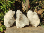Natural Drusy Snow Finger Crystal Clusters x 6 From Albert's Mountain, Lesotho - Toprock Gemstones and Minerals 