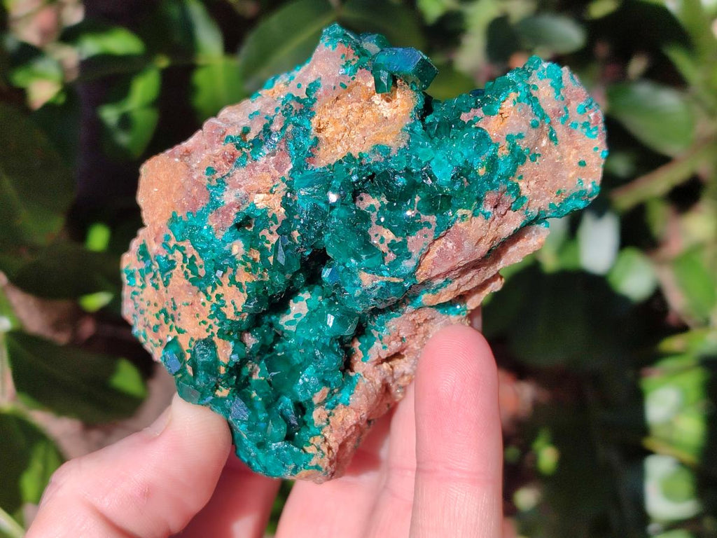 Natural Dioptase Specimens with Malachite x 3 From Mashamba West Mine, Congo - Toprock Gemstones and Minerals 
