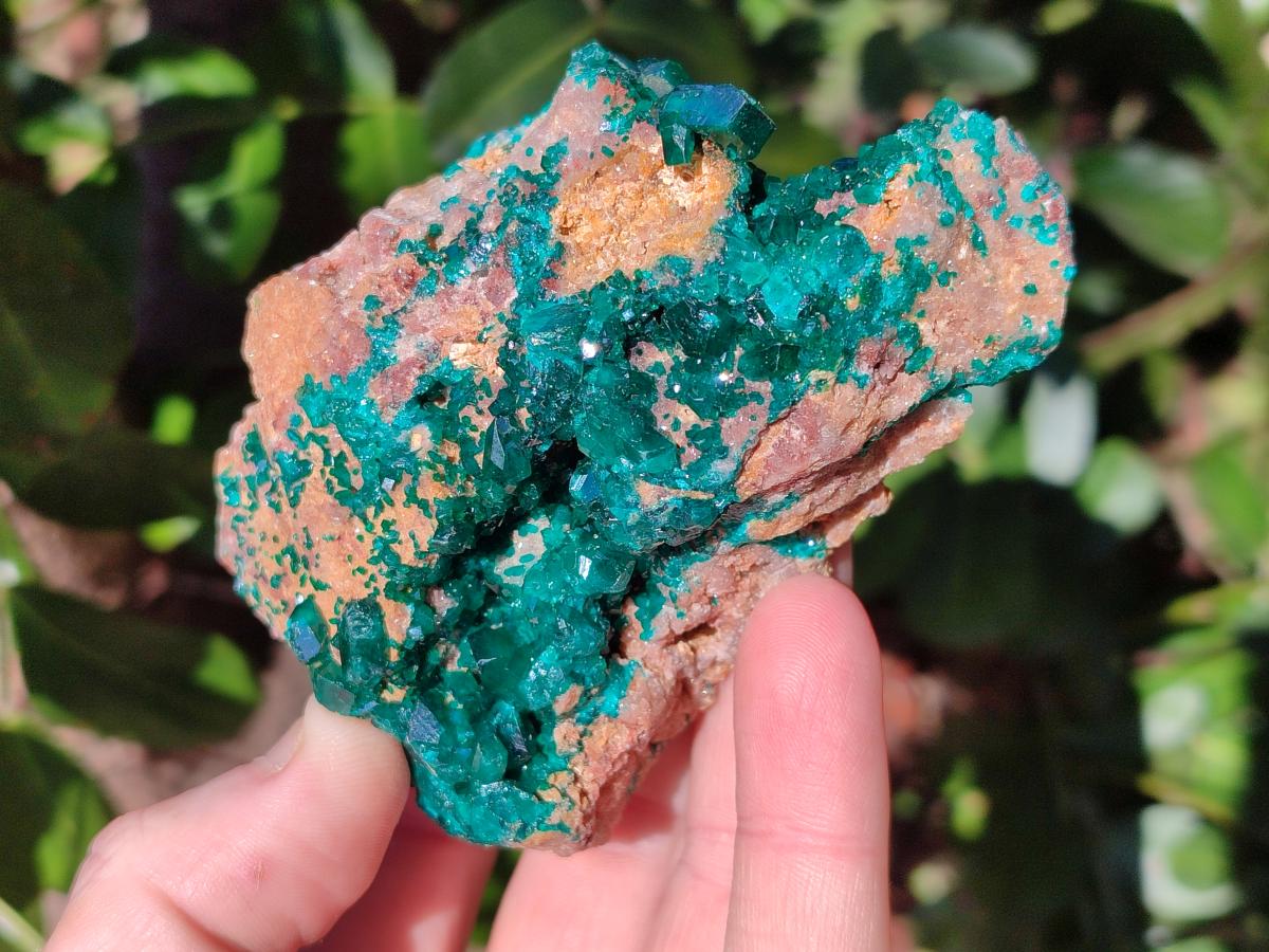 Natural Dioptase Specimens with Malachite x 3 From Mashamba West Mine, Congo - Toprock Gemstones and Minerals 