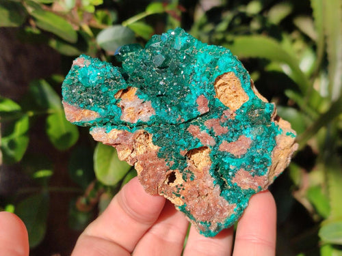 Natural Dioptase Specimens with Malachite x 3 From Mashamba West Mine, Congo - Toprock Gemstones and Minerals 