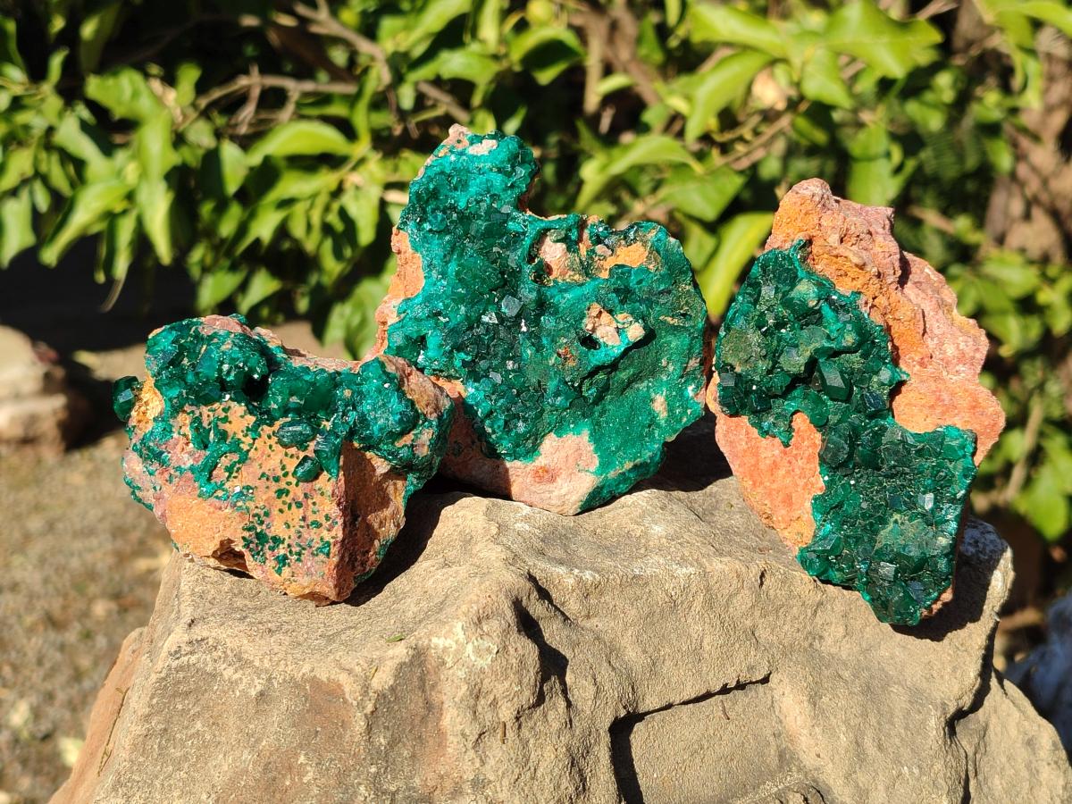 Natural Dioptase Specimens with Malachite x 3 From Mashamba West Mine, Congo - Toprock Gemstones and Minerals 