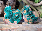 Natural Dioptase Specimens with Malachite x 3 From Mashamba West Mine, Congo - Toprock Gemstones and Minerals 