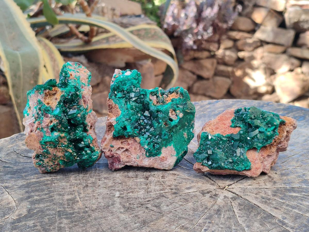 Natural Dioptase Specimens with Malachite x 3 From Mashamba West Mine, Congo - Toprock Gemstones and Minerals 