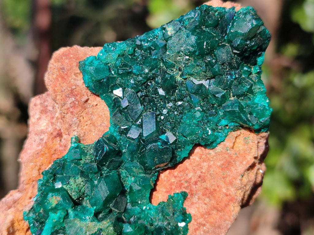 Natural Dioptase Specimens with Malachite x 3 From Mashamba West Mine, Congo - Toprock Gemstones and Minerals 