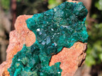 Natural Dioptase Specimens with Malachite x 3 From Mashamba West Mine, Congo - Toprock Gemstones and Minerals 