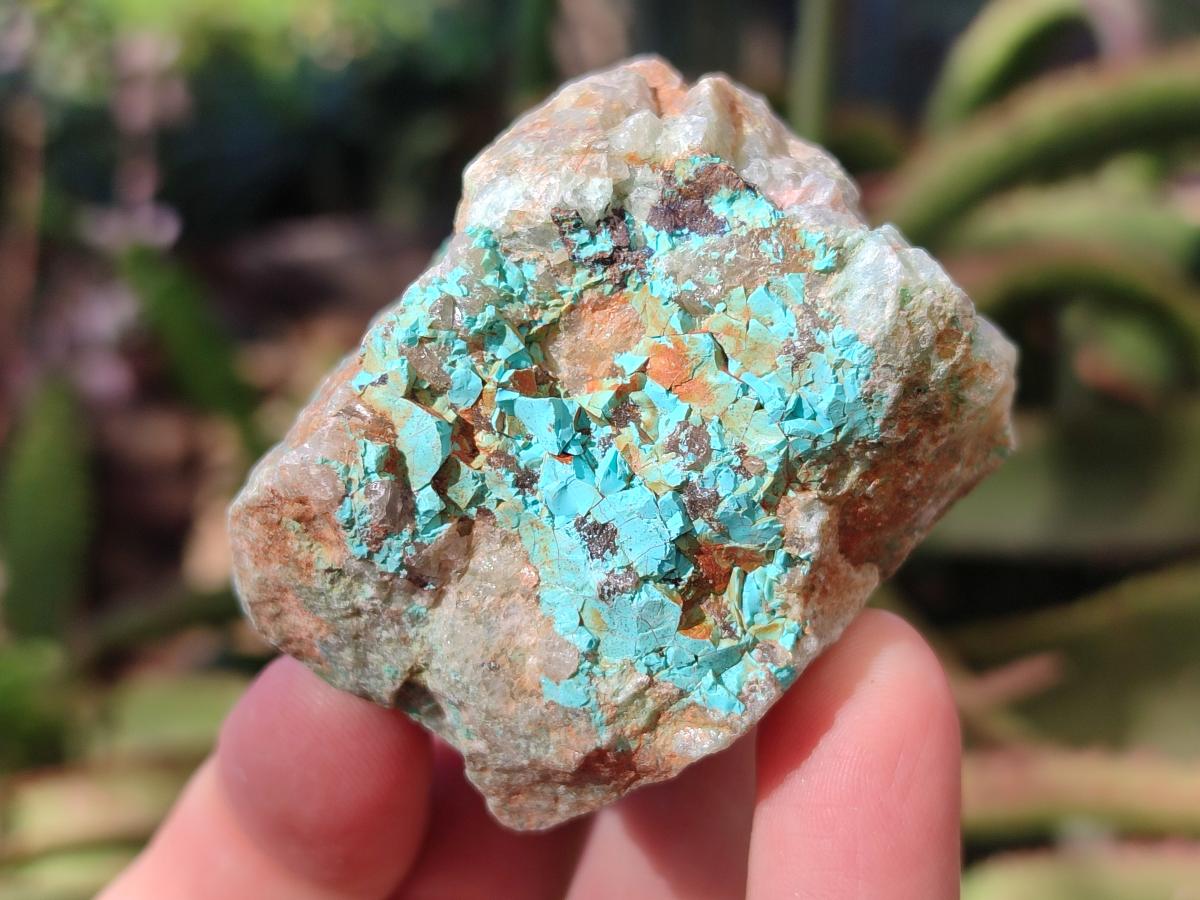 Natural Cobbed Shattuckite Specimens x 24 From Kaokoveld, Namibia - Toprock Gemstones and Minerals 