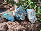 Natural Cobbed Shattuckite Specimens x 24 From Kaokoveld, Namibia - Toprock Gemstones and Minerals 