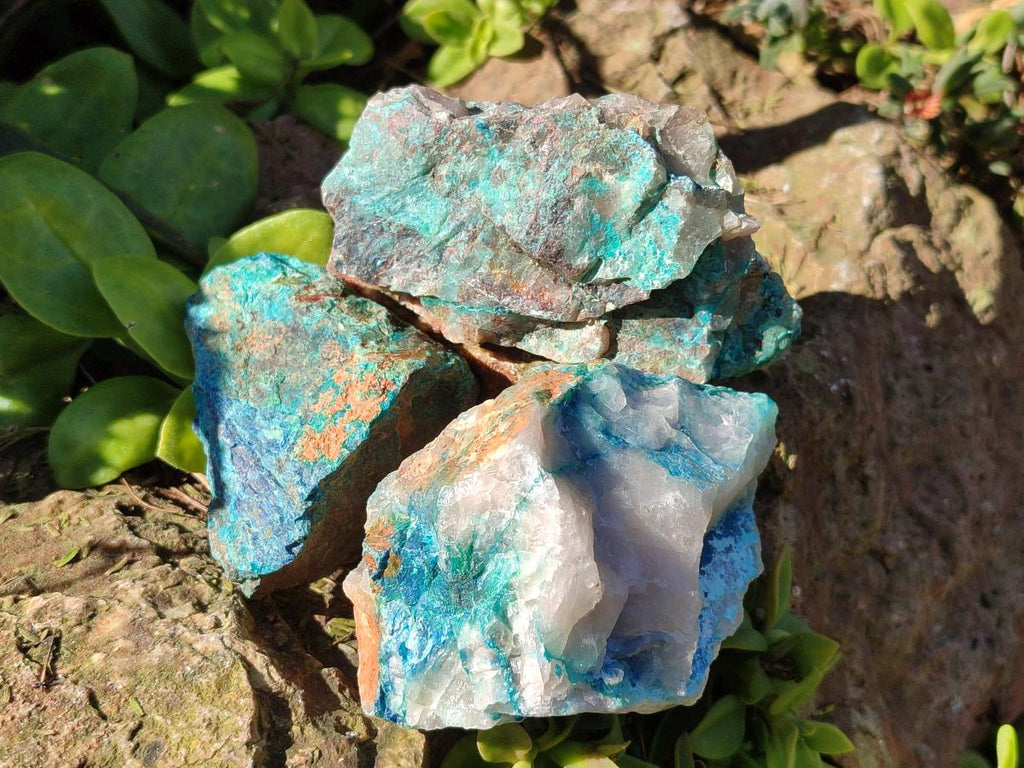 Natural Cobbed Shattuckite Specimens x 24 From Kaokoveld, Namibia - Toprock Gemstones and Minerals 