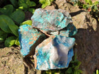 Natural Cobbed Shattuckite Specimens x 24 From Kaokoveld, Namibia - Toprock Gemstones and Minerals 