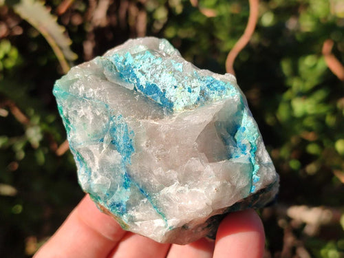 Natural Cobbed Shattuckite Specimens x 24 From Kaokoveld, Namibia - Toprock Gemstones and Minerals 