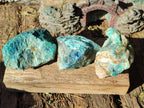 Natural Cobbed Shattuckite Specimens x 24 From Kaokoveld, Namibia - Toprock Gemstones and Minerals 