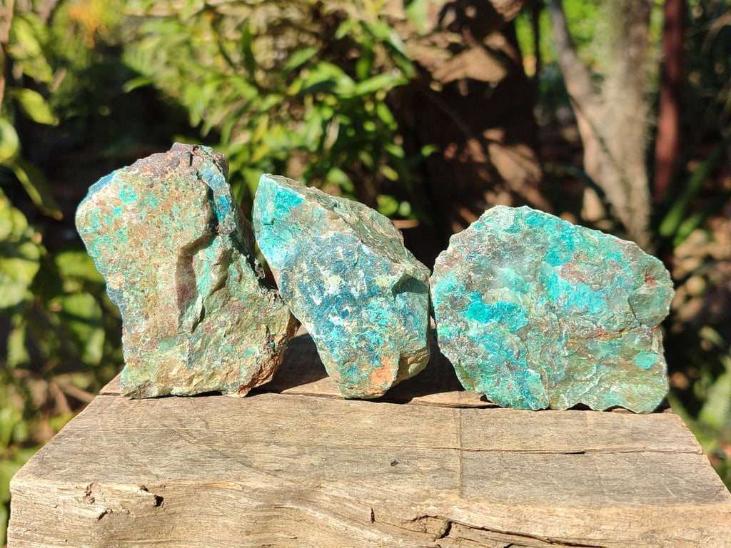 Natural Cobbed Shattuckite Specimens x 24 From Kaokoveld, Namibia - Toprock Gemstones and Minerals 