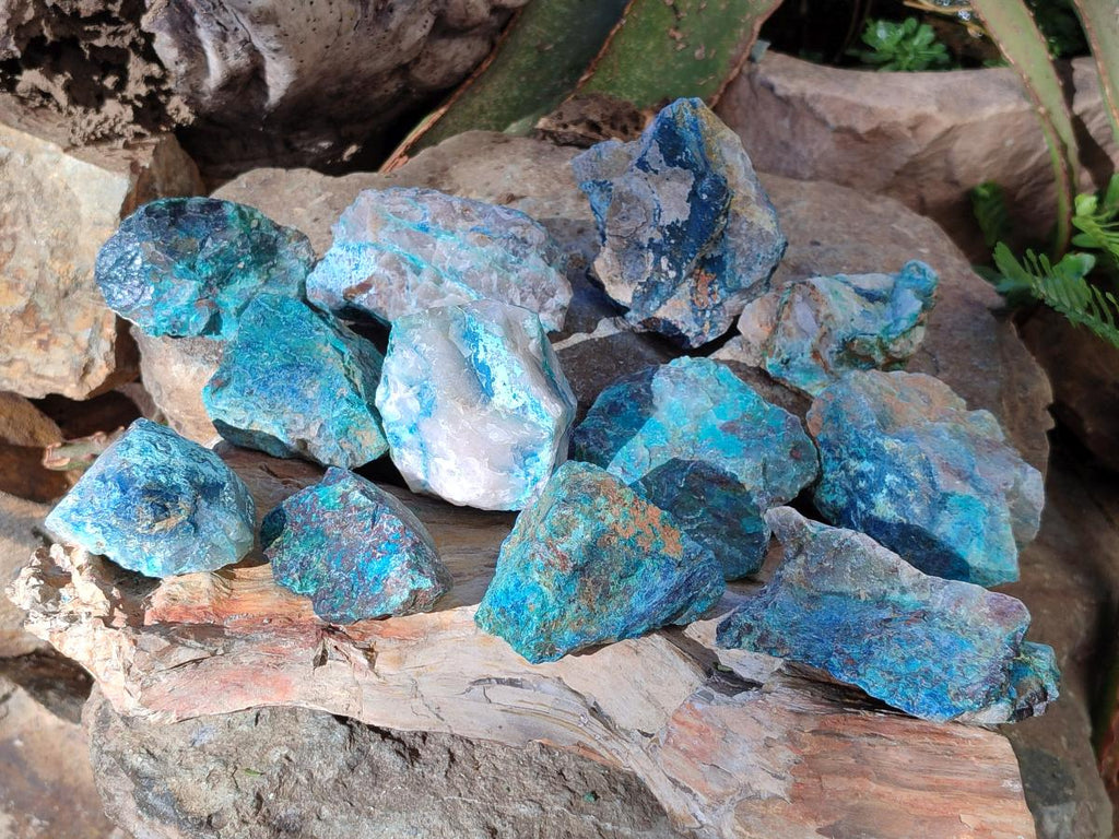 Natural Cobbed Shattuckite Specimens x 24 From Kaokoveld, Namibia - Toprock Gemstones and Minerals 