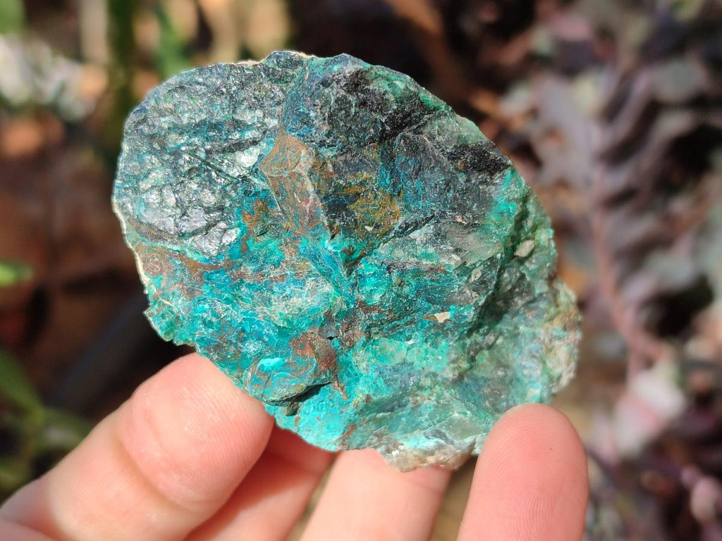 Natural Cobbed Shattuckite Specimens x 24 From Kaokoveld, Namibia - Toprock Gemstones and Minerals 