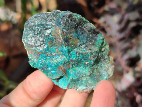 Natural Cobbed Shattuckite Specimens x 24 From Kaokoveld, Namibia - Toprock Gemstones and Minerals 