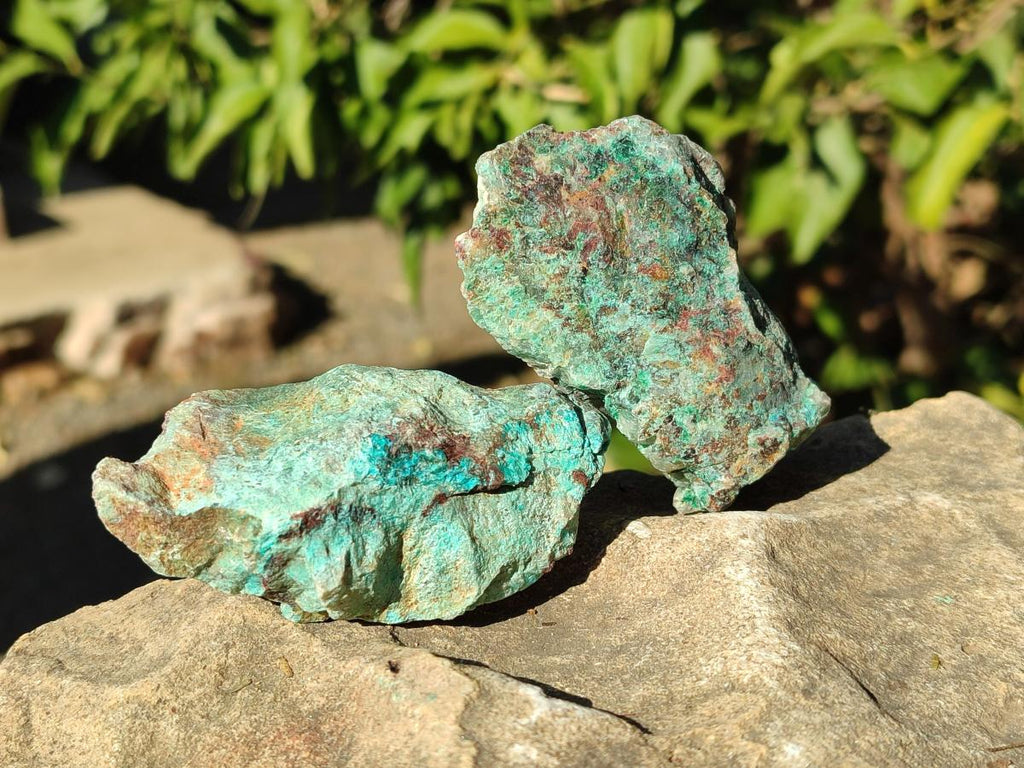 Natural Cobbed Shattuckite Specimens x 24 From Kaokoveld, Namibia - Toprock Gemstones and Minerals 