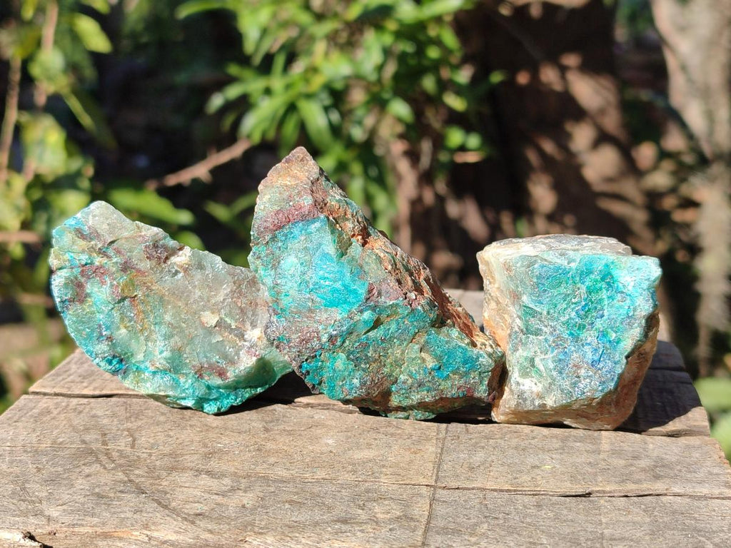 Natural Cobbed Shattuckite Specimens x 24 From Kaokoveld, Namibia - Toprock Gemstones and Minerals 