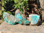Natural Cobbed Shattuckite Specimens x 24 From Kaokoveld, Namibia - Toprock Gemstones and Minerals 