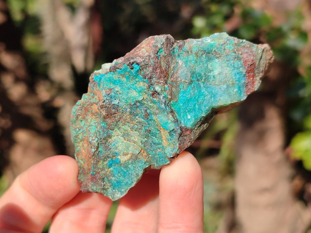 Natural Cobbed Shattuckite Specimens x 24 From Kaokoveld, Namibia - Toprock Gemstones and Minerals 