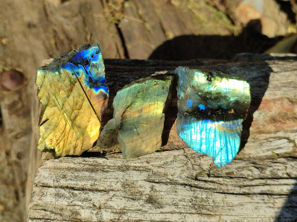 Polished Mini One Side Labradorite Display Pieces x 70 From Madagascar - Toprock Gemstones and Minerals 