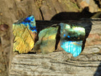 Polished Mini One Side Labradorite Display Pieces x 70 From Madagascar - Toprock Gemstones and Minerals 