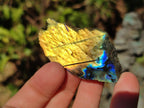Polished Mini One Side Labradorite Display Pieces x 70 From Madagascar - Toprock Gemstones and Minerals 
