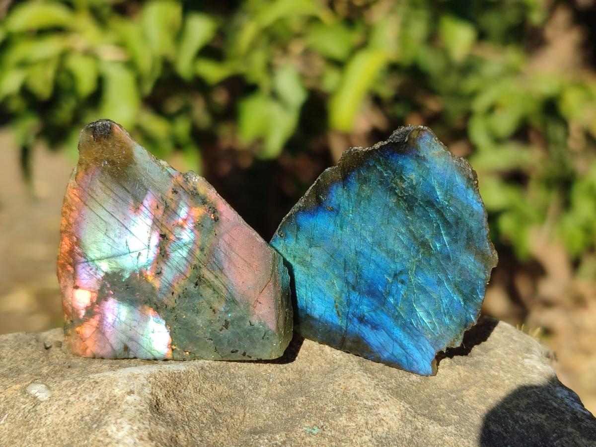 Polished Mini One Side Labradorite Display Pieces x 70 From Madagascar - Toprock Gemstones and Minerals 