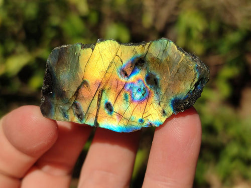 Polished Mini One Side Labradorite Display Pieces x 70 From Madagascar - Toprock Gemstones and Minerals 