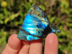 Polished Mini One Side Labradorite Display Pieces x 70 From Madagascar - Toprock Gemstones and Minerals 