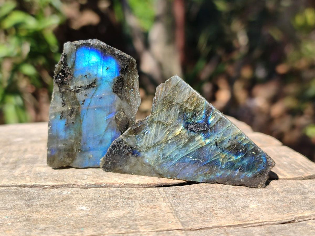 Polished Mini One Side Labradorite Display Pieces x 70 From Madagascar - Toprock Gemstones and Minerals 