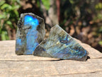 Polished Mini One Side Labradorite Display Pieces x 70 From Madagascar - Toprock Gemstones and Minerals 