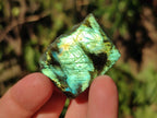 Polished Mini One Side Labradorite Display Pieces x 70 From Madagascar - Toprock Gemstones and Minerals 