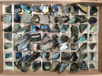 Polished Mini One Side Labradorite Display Pieces x 70 From Madagascar - Toprock Gemstones and Minerals 