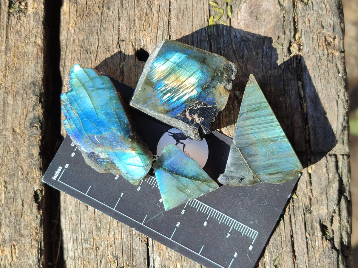 Polished Mini One Side Labradorite Display Pieces x 70 From Madagascar - Toprock Gemstones and Minerals 