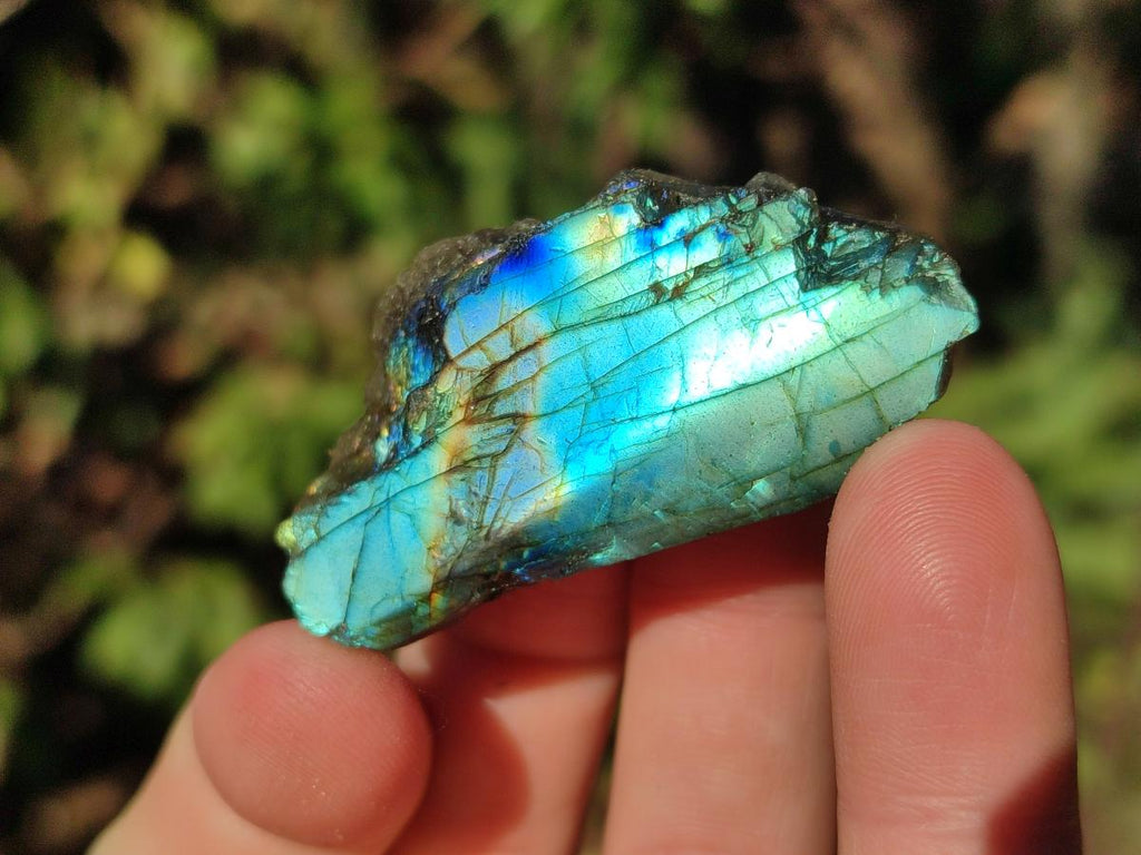 Polished Mini One Side Labradorite Display Pieces x 70 From Madagascar - Toprock Gemstones and Minerals 