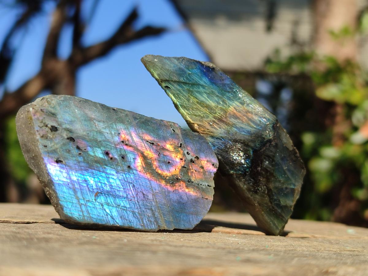 Polished Mini One Side Labradorite Display Pieces x 70 From Madagascar - Toprock Gemstones and Minerals 