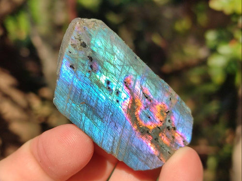Polished Mini One Side Labradorite Display Pieces x 70 From Madagascar - Toprock Gemstones and Minerals 