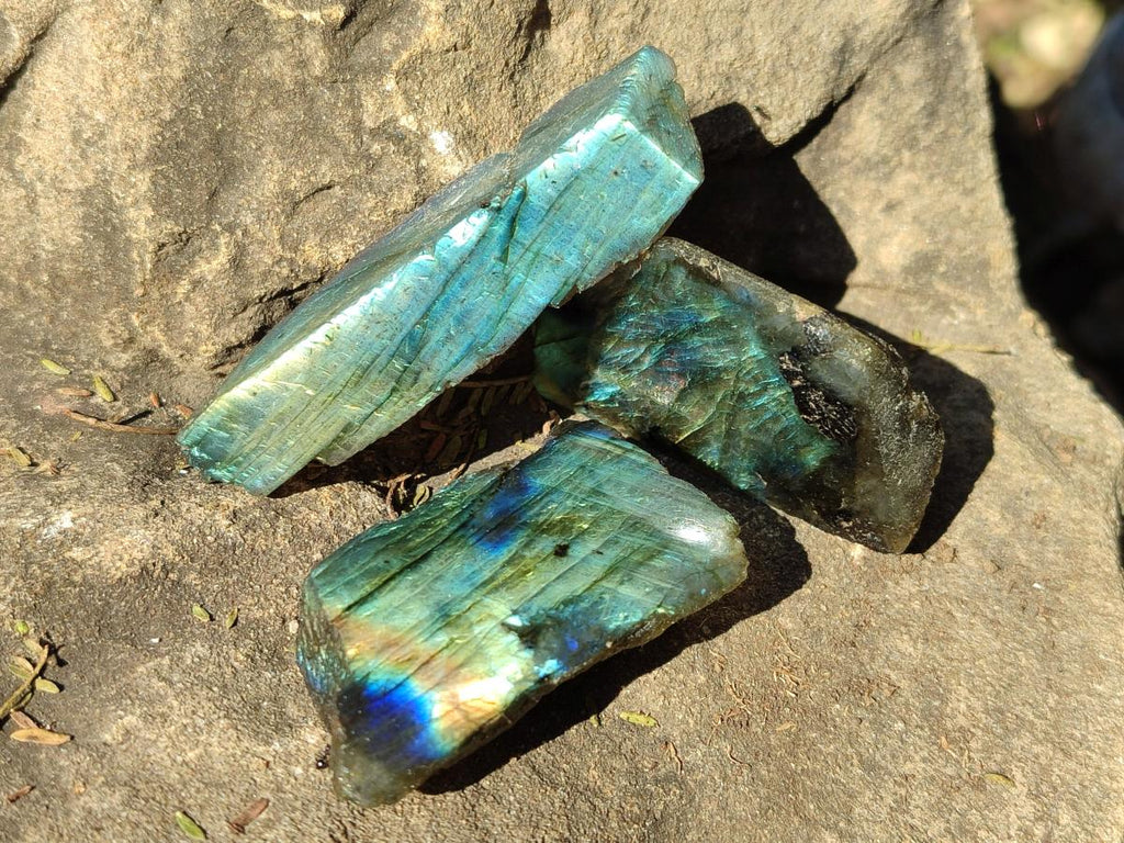 Polished Mini One Side Labradorite Display Pieces x 70 From Madagascar - Toprock Gemstones and Minerals 