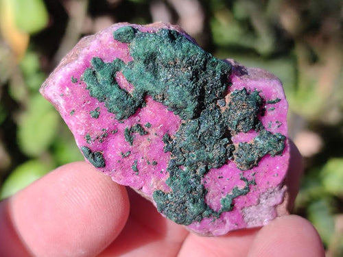 Natural Salrose Cobaltoan Dolomite Specimens x 35 From Kakanda, Congo - Toprock Gemstones and Minerals 
