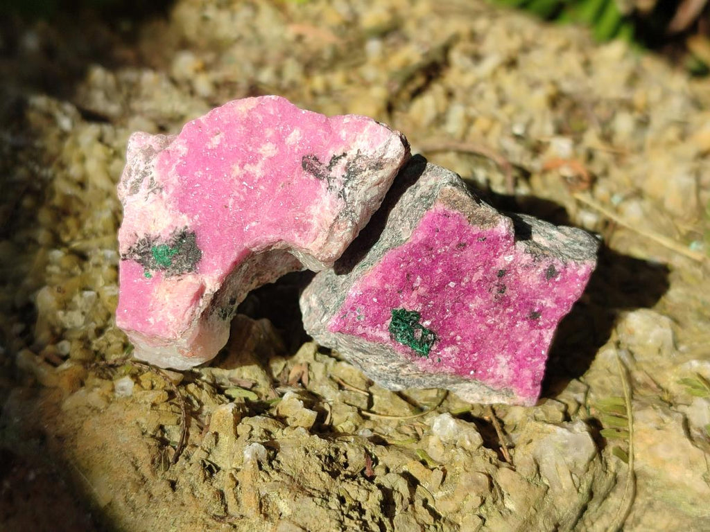 Natural Salrose Cobaltoan Dolomite Specimens x 35 From Kakanda, Congo - Toprock Gemstones and Minerals 
