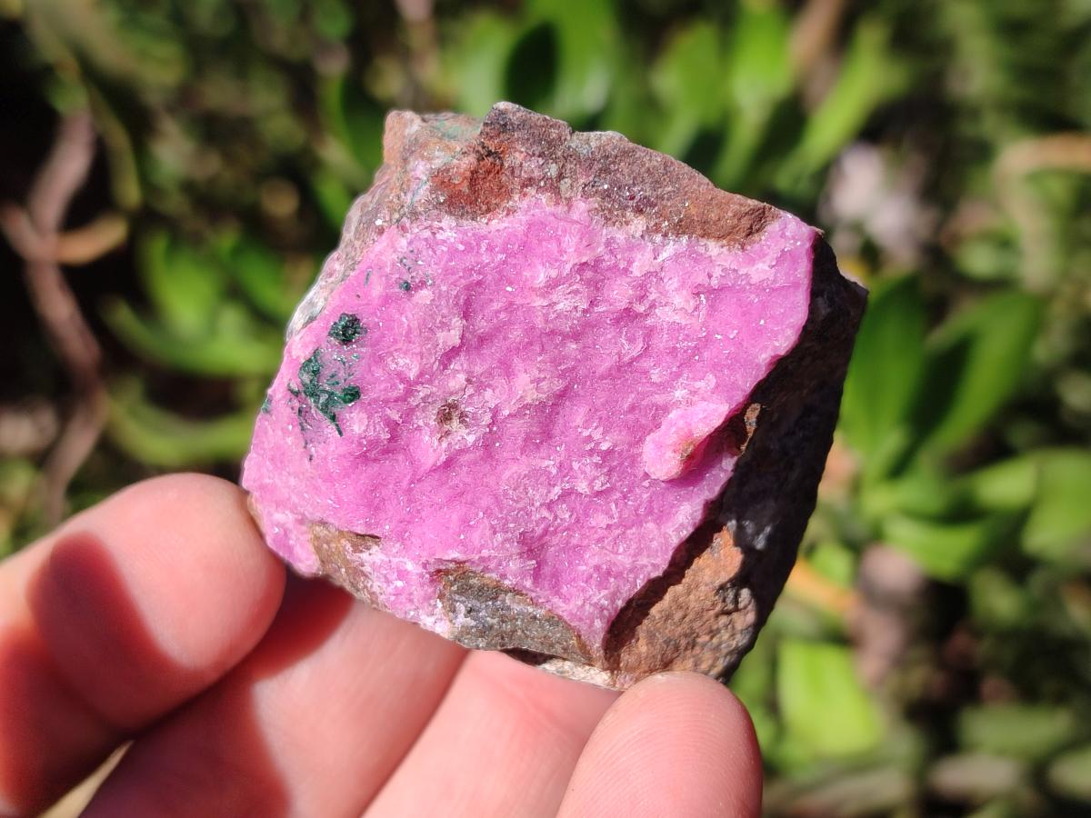 Natural Salrose Cobaltoan Dolomite Specimens x 35 From Kakanda, Congo - Toprock Gemstones and Minerals 