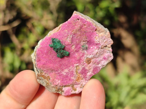 Natural Salrose Cobaltoan Dolomite Specimens x 35 From Kakanda, Congo - Toprock Gemstones and Minerals 