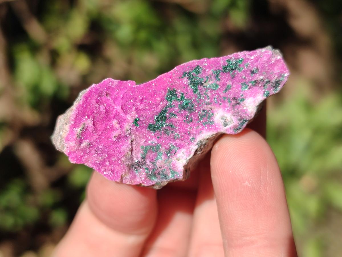 Natural Salrose Cobaltoan Dolomite Specimens x 35 From Kakanda, Congo - Toprock Gemstones and Minerals 